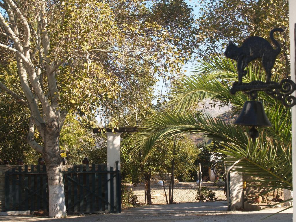 Pegasus Studios & Apartments Скирос Екстериор снимка